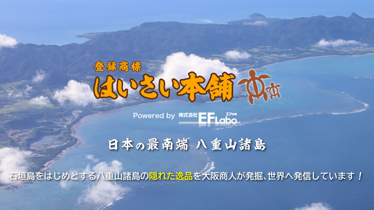 株式会社EFLabo