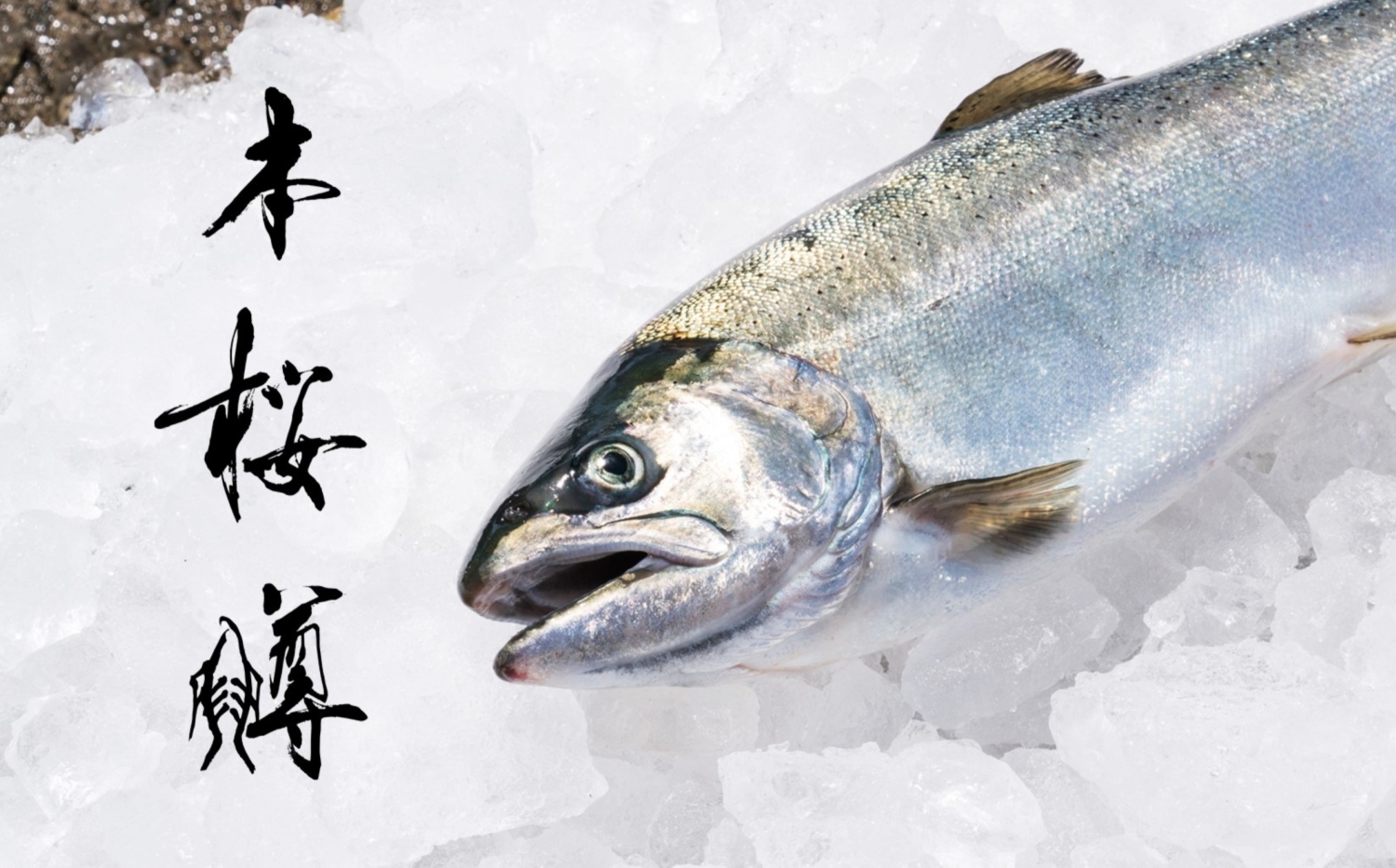 株式会社Smolt