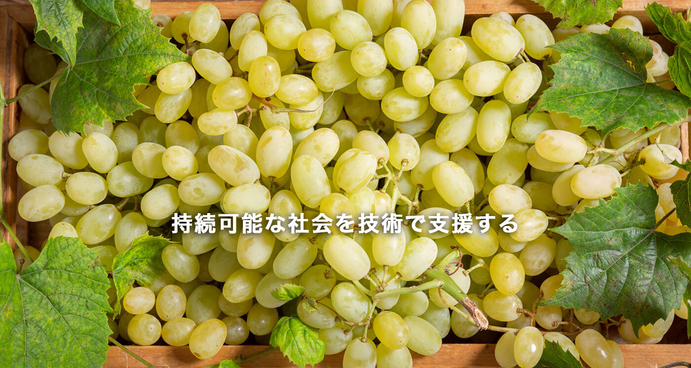 株式会社旭メンテックス