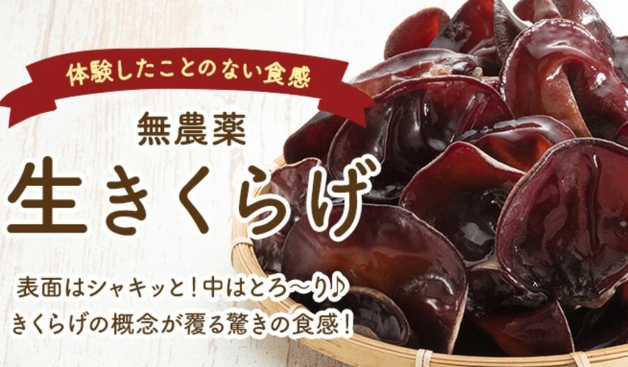 生きくらげ