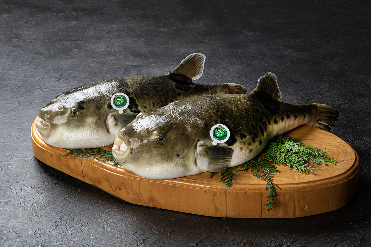 高瀬水産有限会社