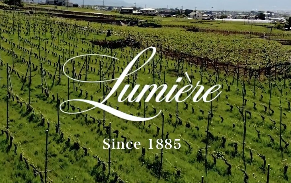 株式会社ルミエール