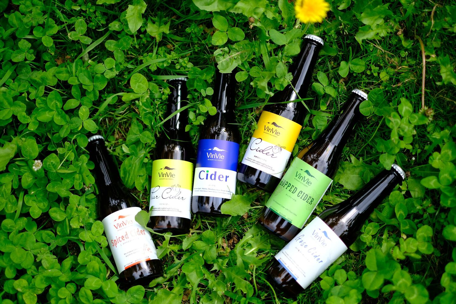 シードルの醸造・販売