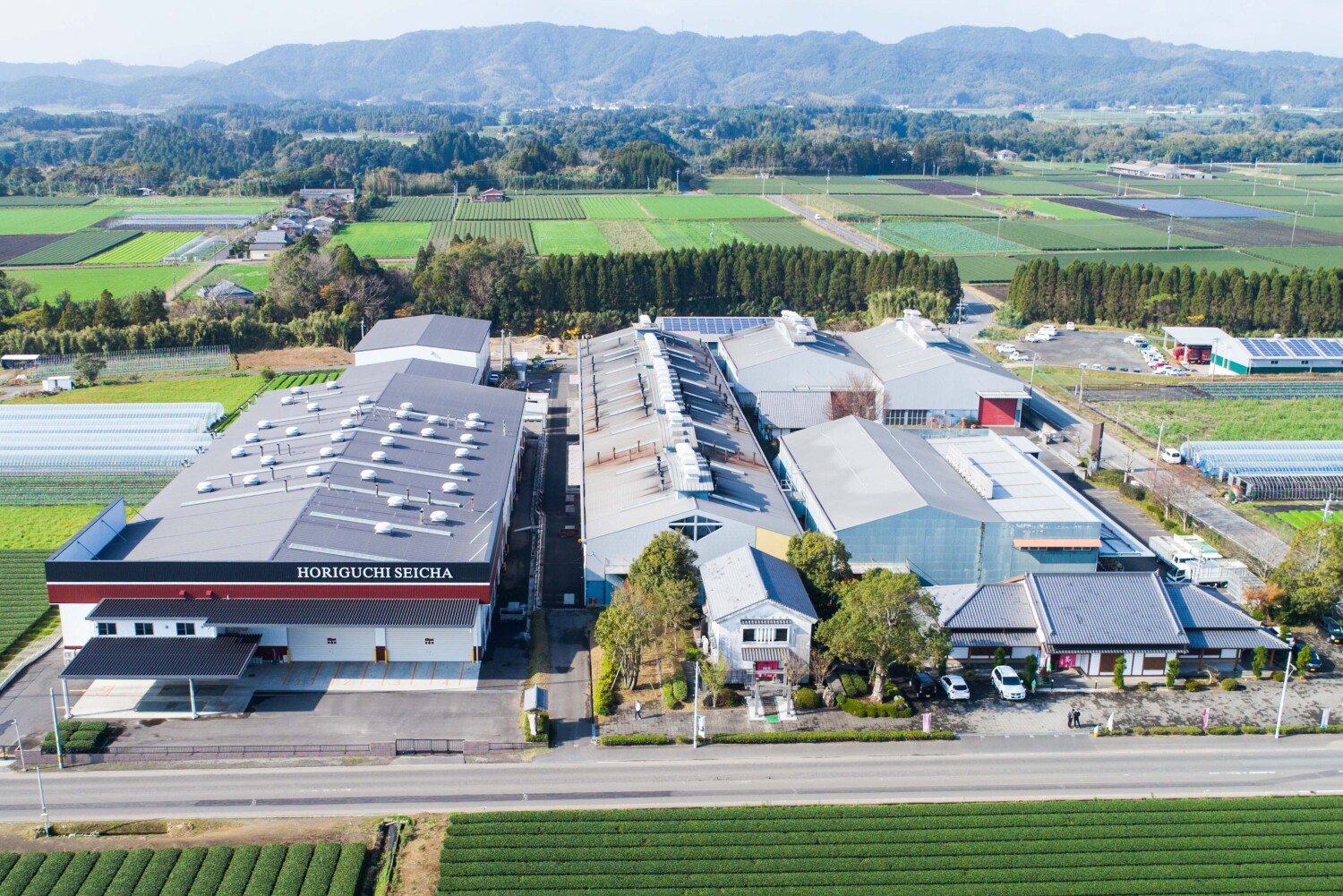 鹿児島堀口製茶有限会社