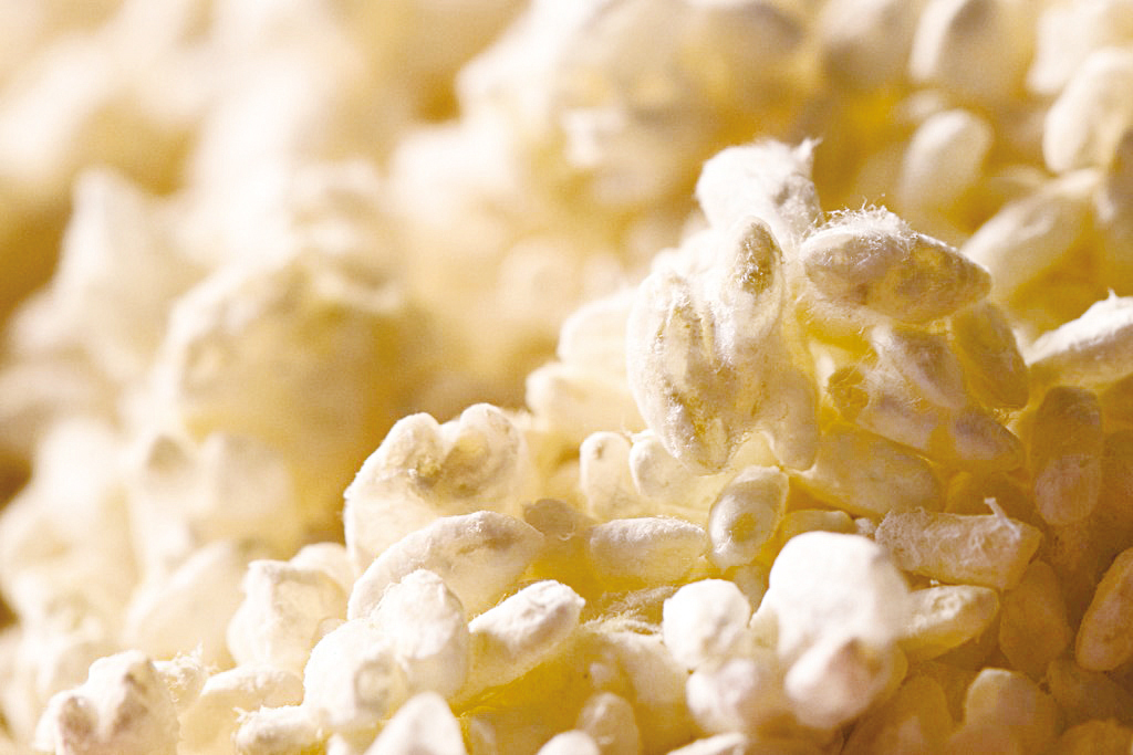 株式会社古町糀製造所