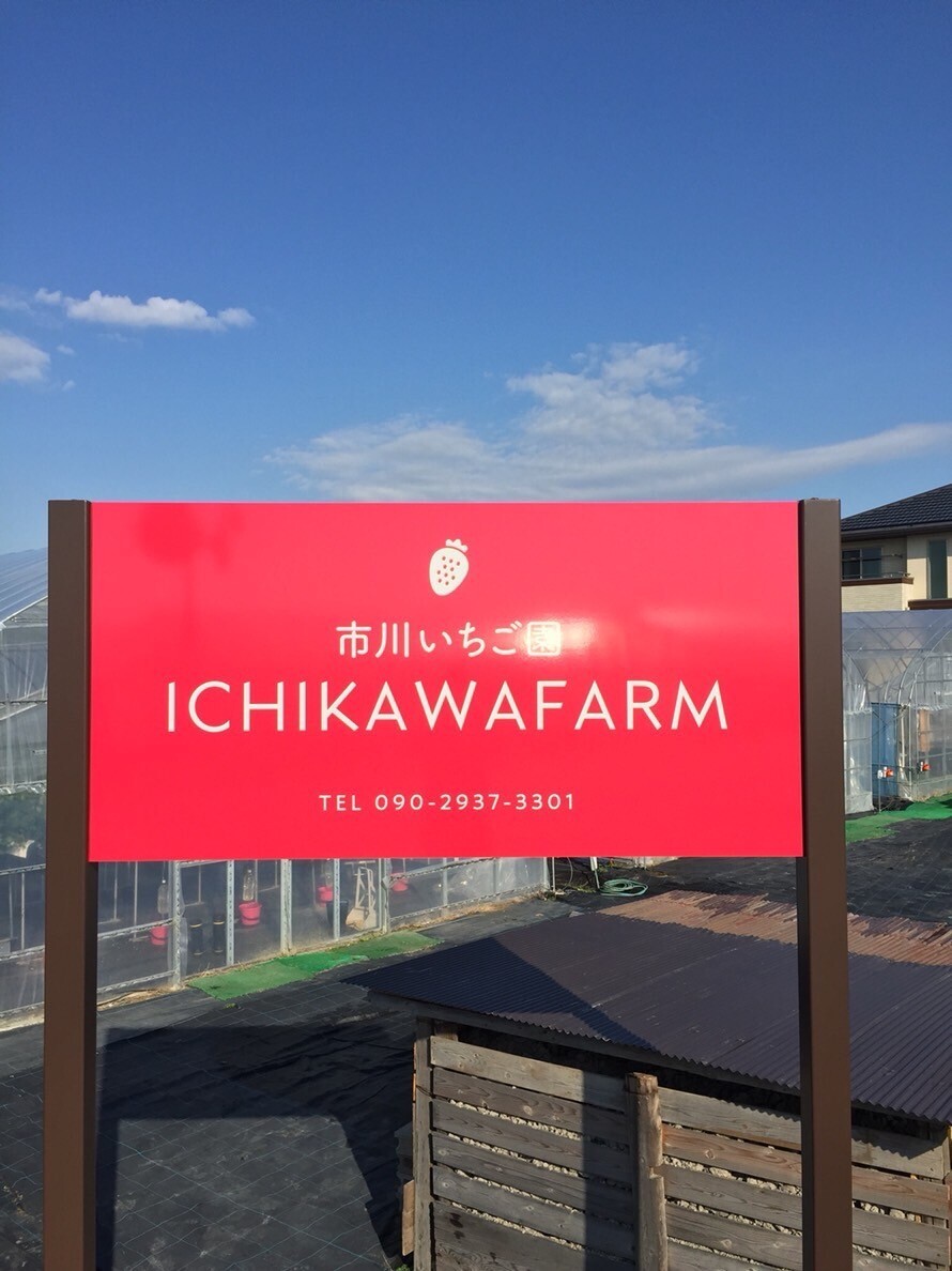 株式会社　市川農場