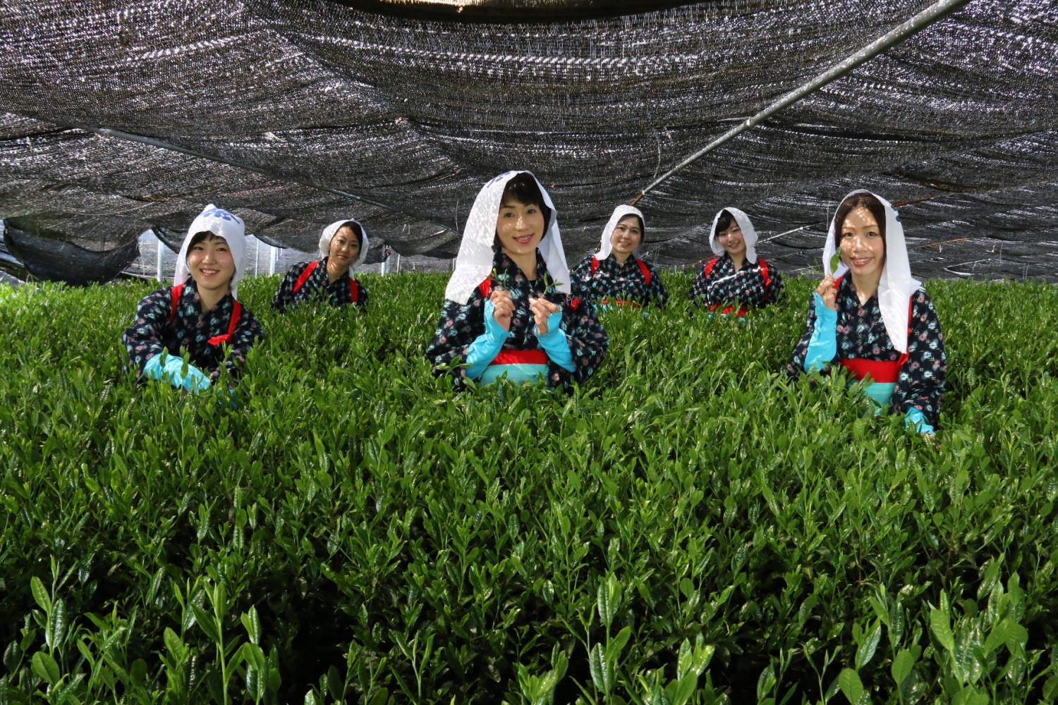 西尾茶協同組合