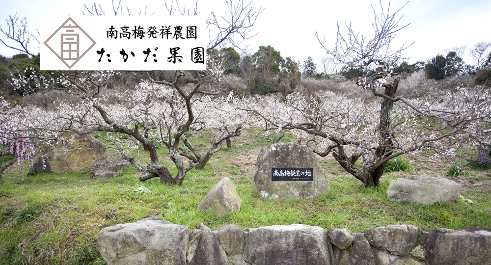 有限会社紀州高田果園