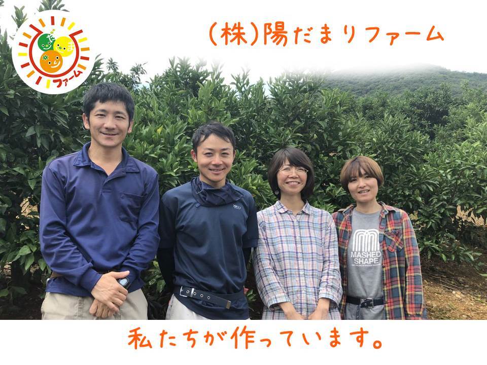 株式会社　陽だまりファーム