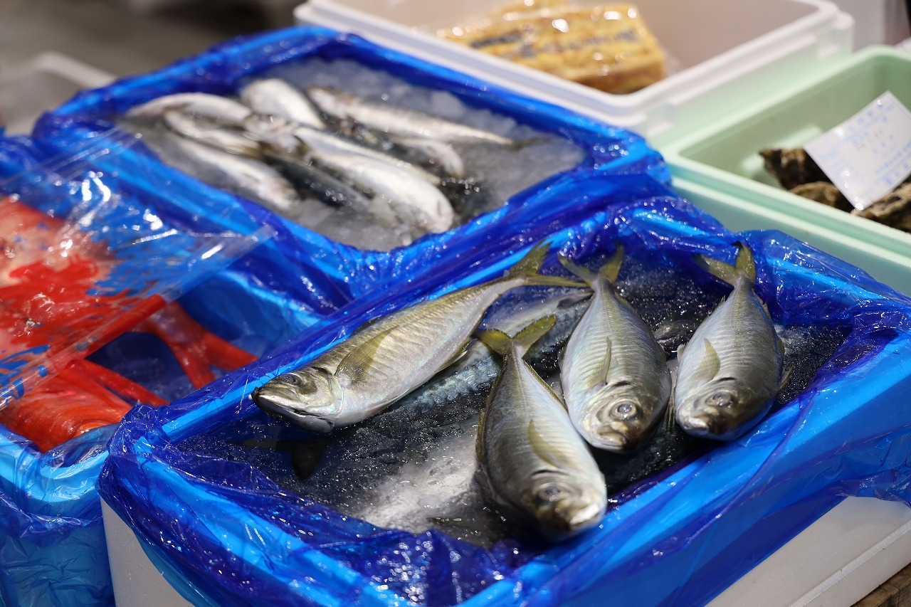 温度管理された閉鎖型施設内で、卸売市場ならではの新鮮な魚介類が並びます。
