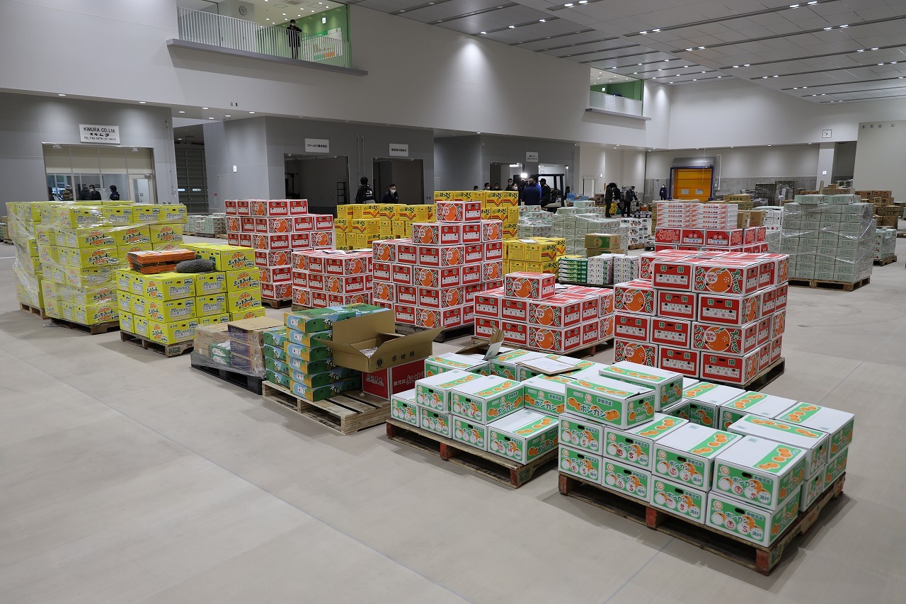 温度管理された閉鎖型施設内で、卸売市場ならではの新鮮な青果が並びます。