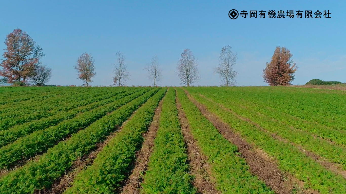 寺岡有機農場有限会社