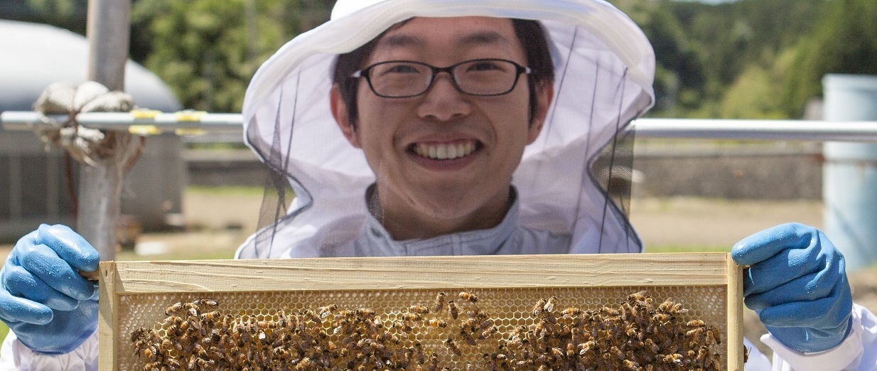 株式会社蜂蜜工房