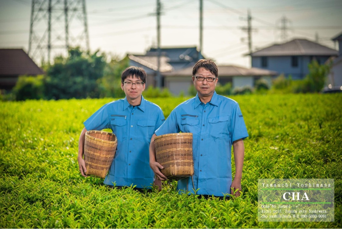 碧園お茶の純平