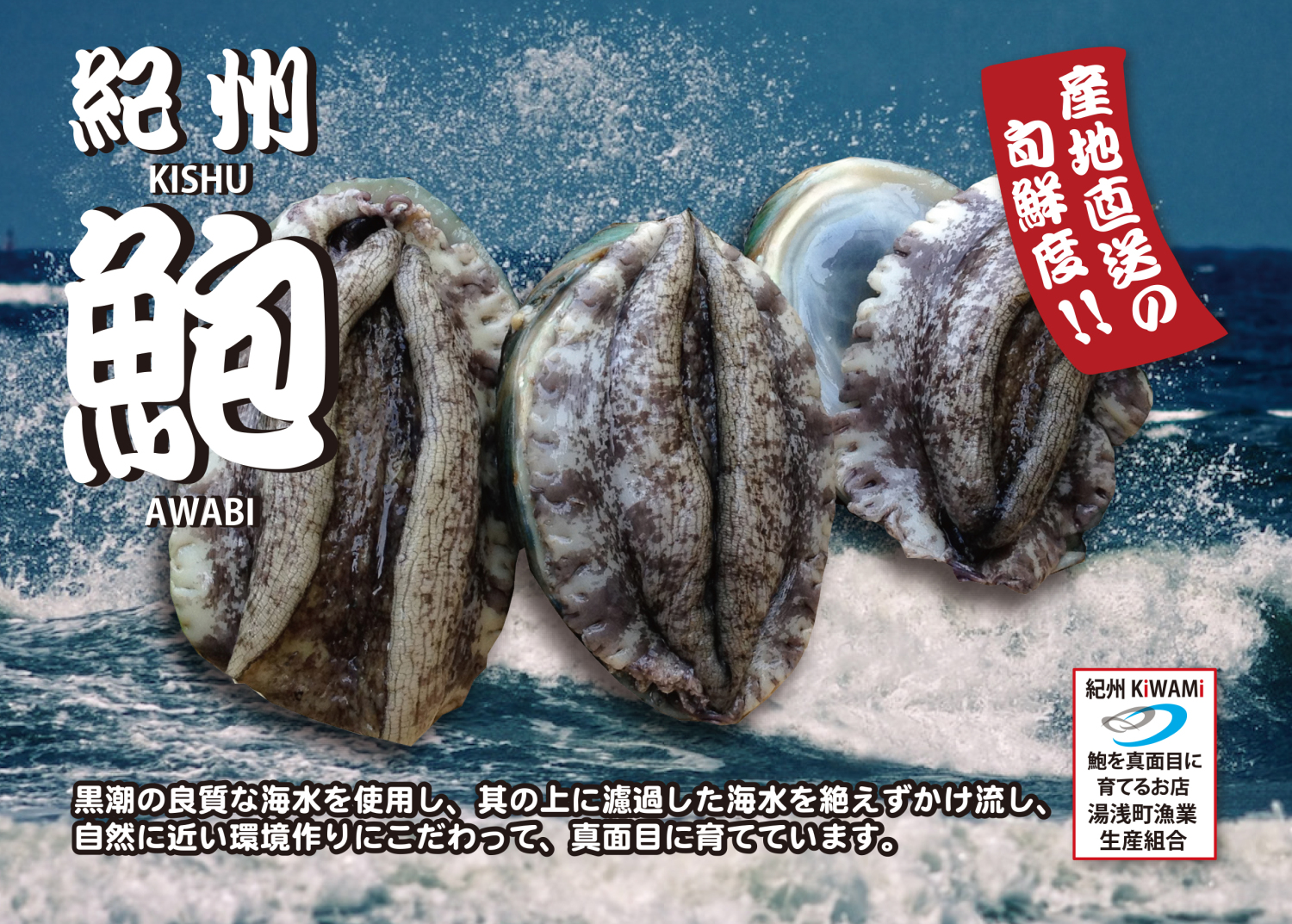 湯浅町漁業生産組合