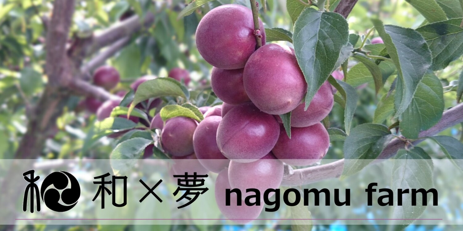 和×夢 nagomu farm