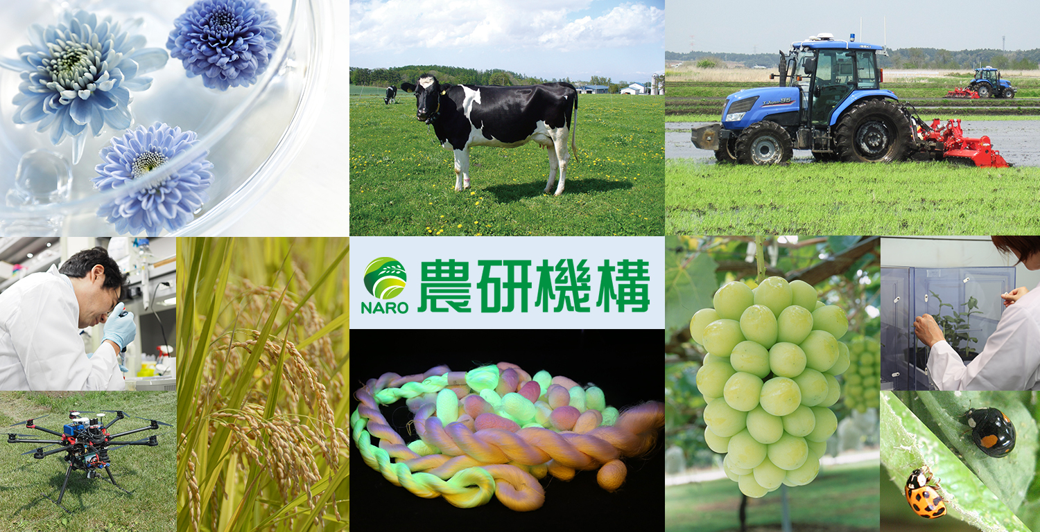 国立研究開発法人農業・食品産業技術総合研究機構