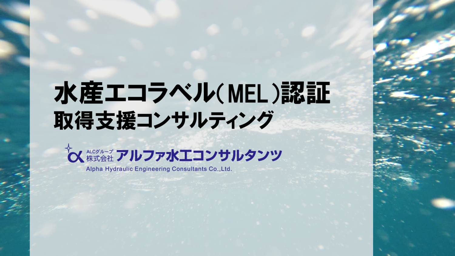 株式会社アルファ水工コンサルタンツ