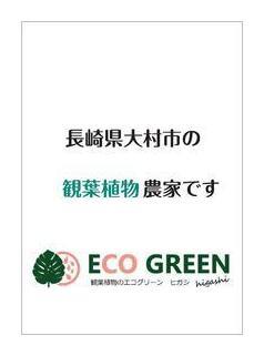 エコグリーンヒガシ
