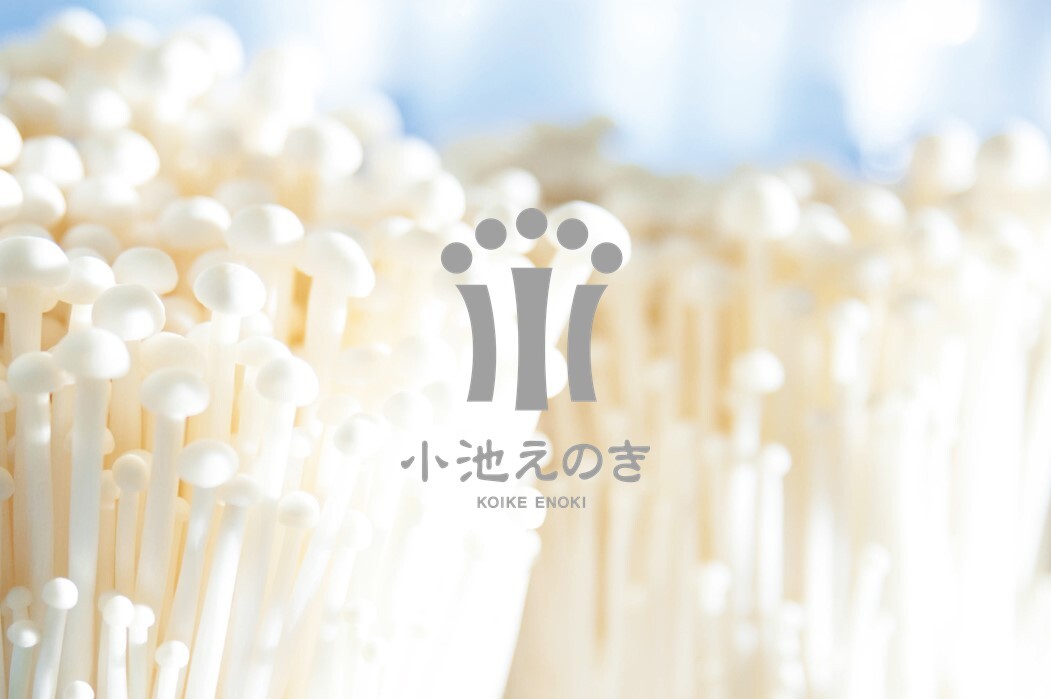 株式会社小池えのき