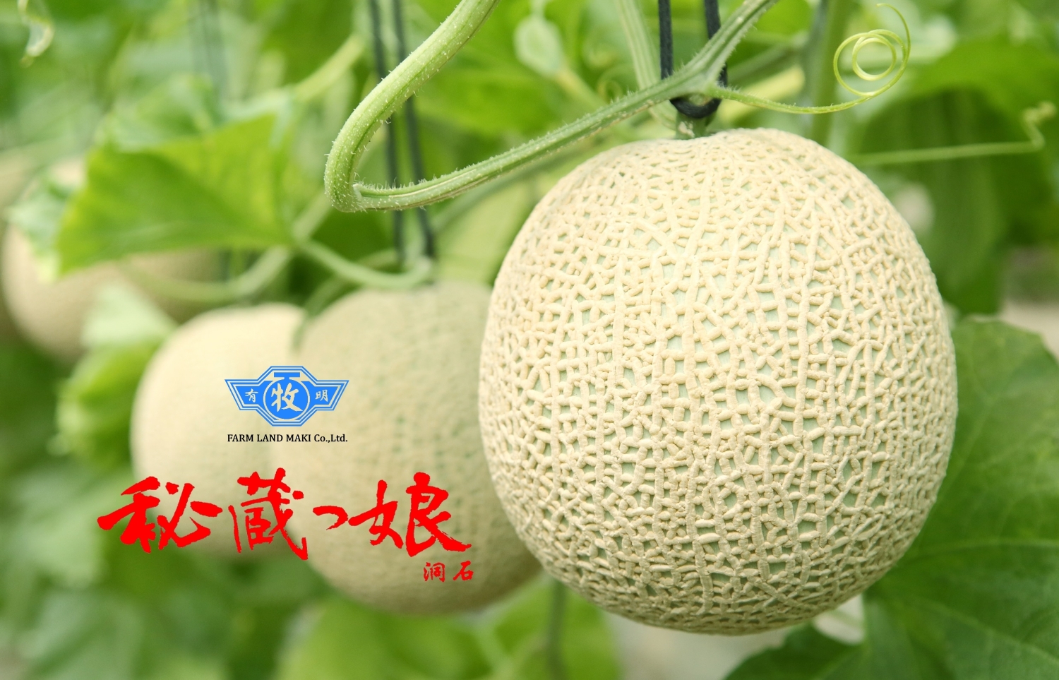 株式会社　ファームランド牧