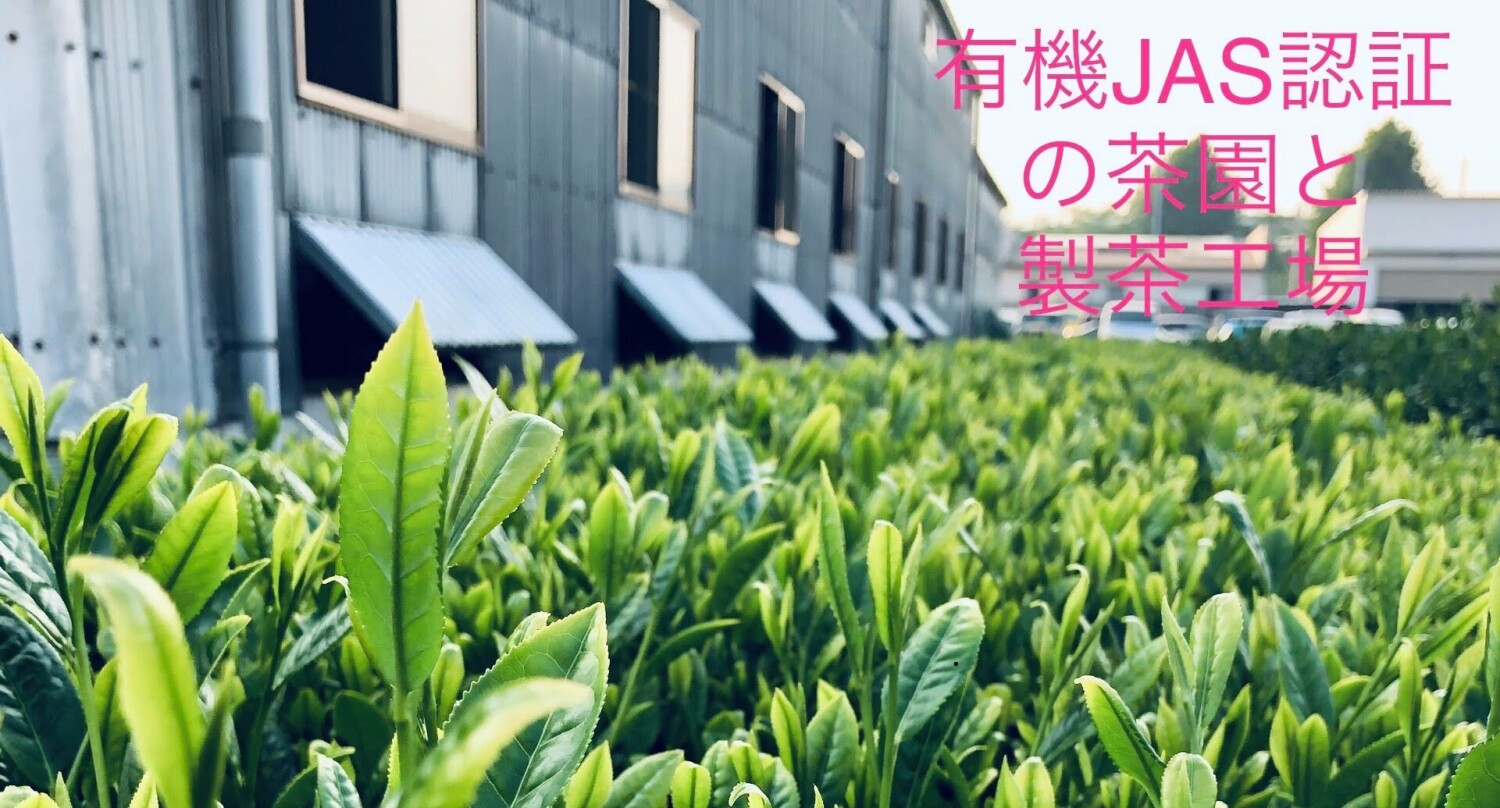 大石製茶園
