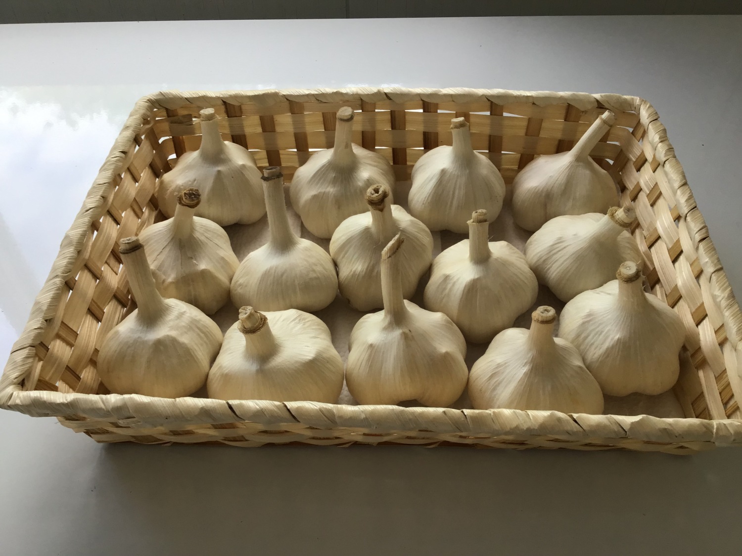 にんにく（生産品：白玉王）