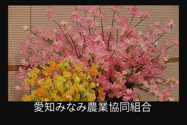 愛知みなみ農業協同組合