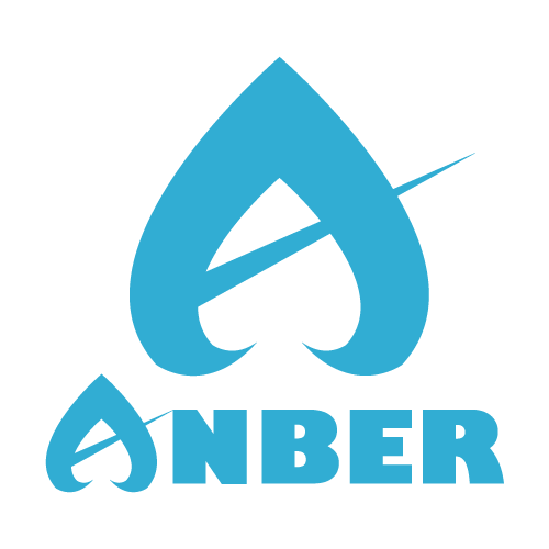 株式会社ANBER
