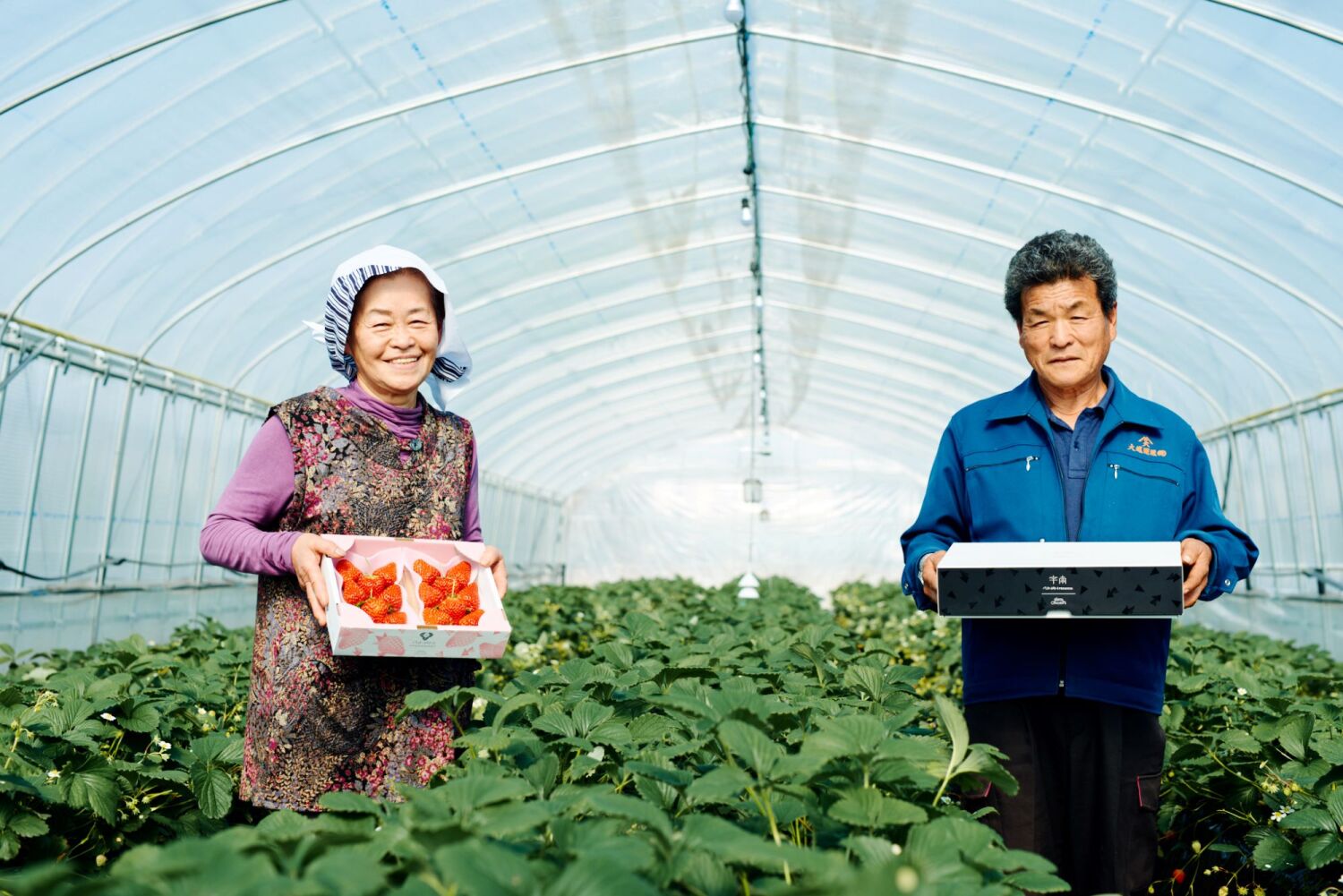 株式会社Farm大越