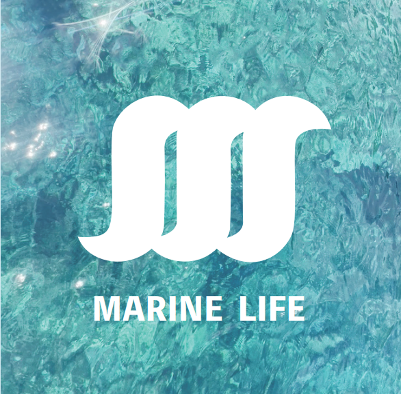 マリンライフ株式会社