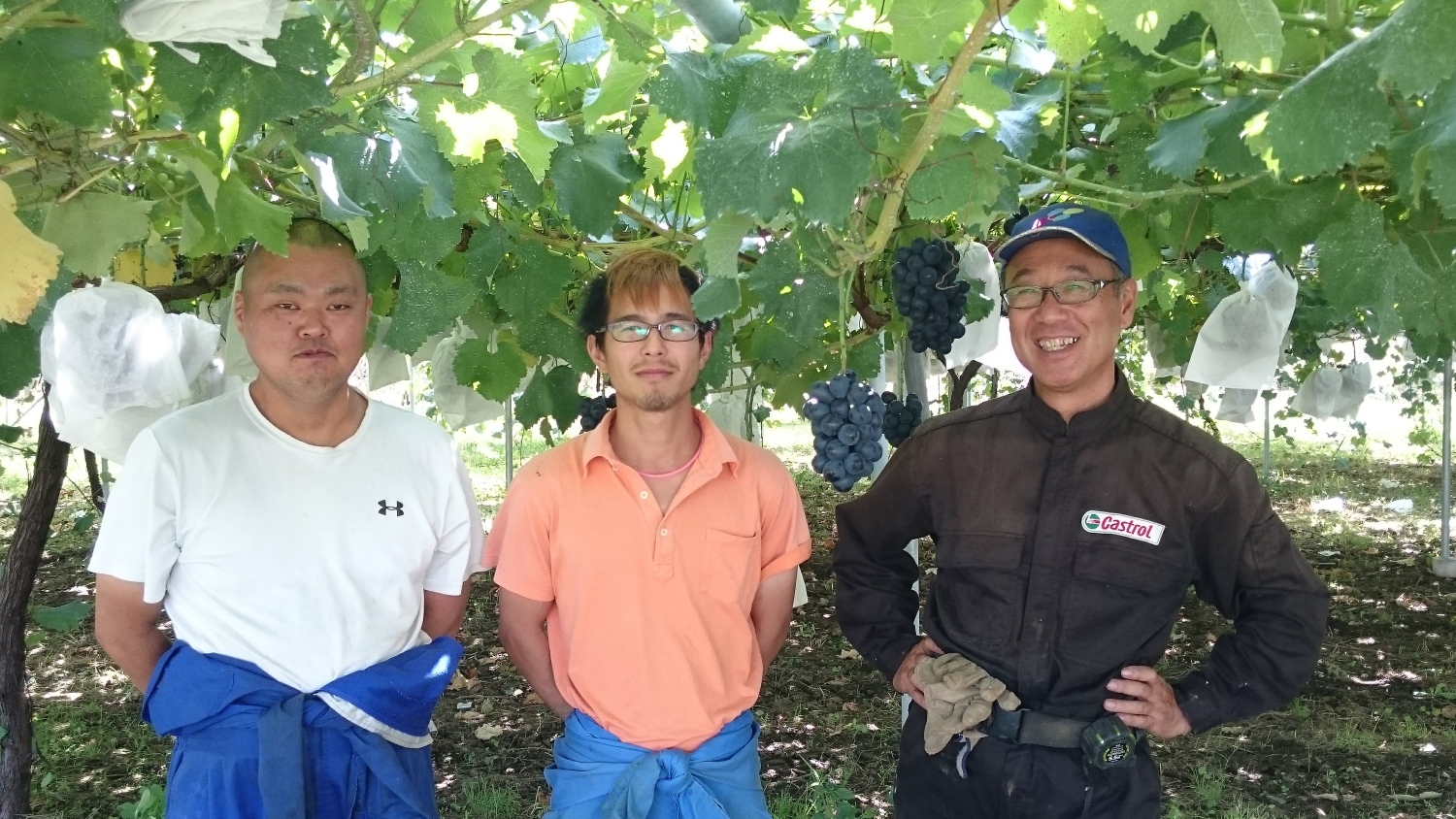 有限会社 ウッドベルファーム