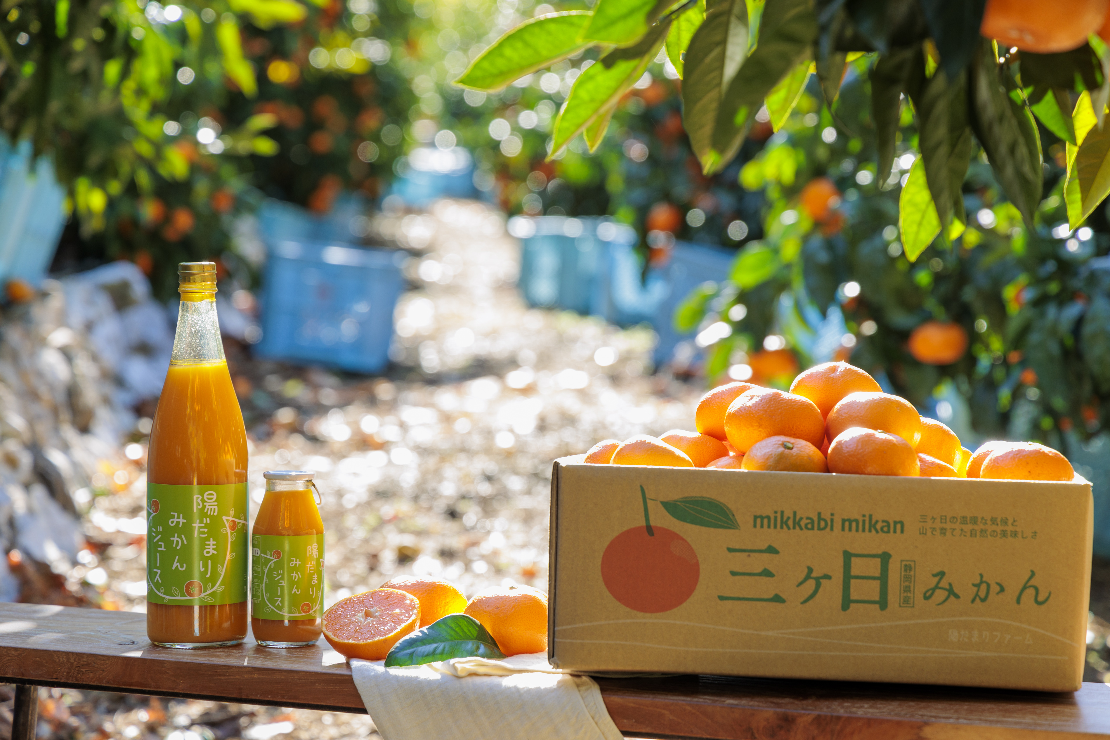 みかんジュース、みかんのハチミツ漬けといった加工品を製造